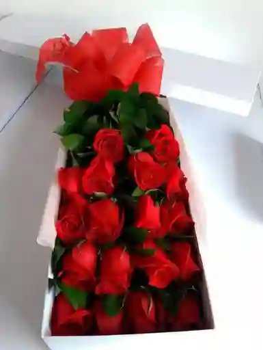 Caja De Rosas X 24