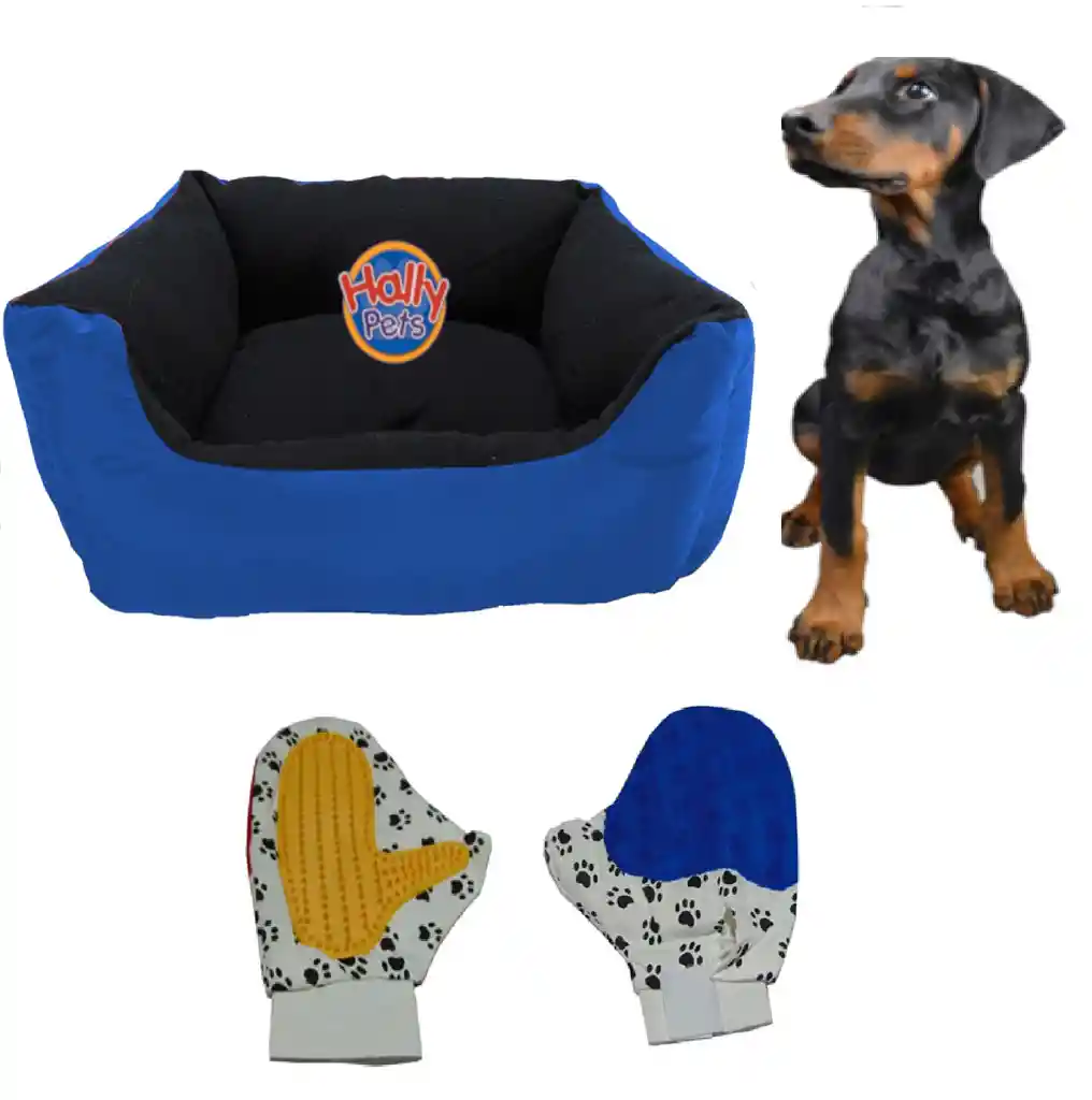 Cama Grande Para Mascota Con Cojin Lavable + Guante Azul Claro