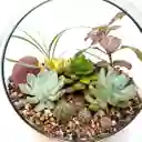 Terrario Mixto