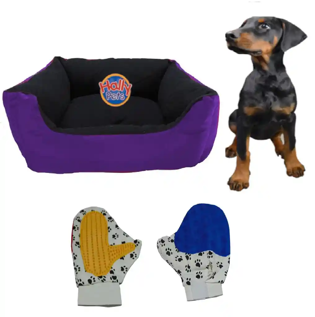 Cama Gigante Para Mascota Con Cojin Lavable + Guante Morado