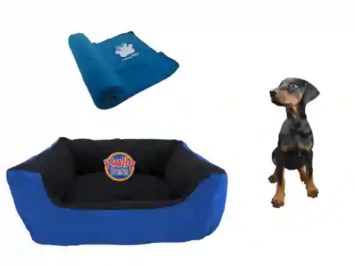 Cama Gigante Para Mascota Con Cojin Lavable + Cobija Grande Azul Claro