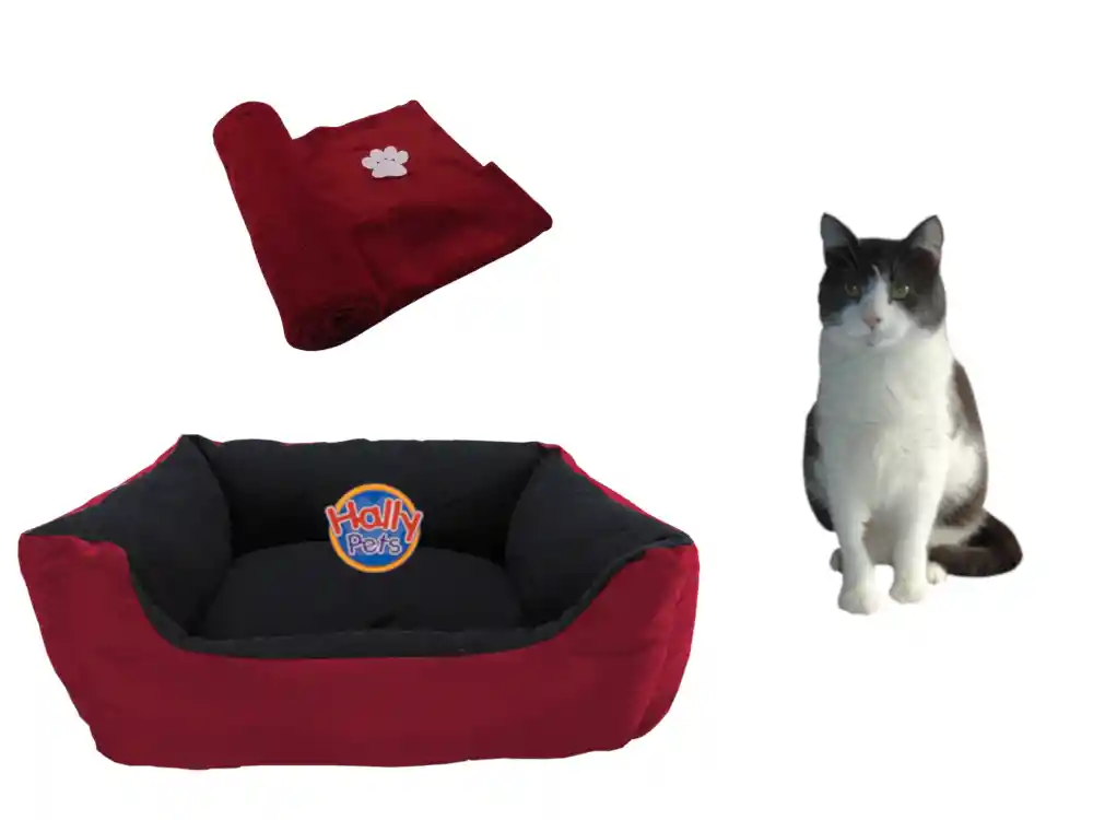 Cama Gigante Para Mascota Con Cojin Lavable + Cobija Grande Vinotinto