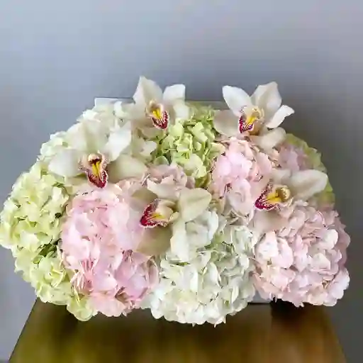 Baul M Hortensias Y Orquideas