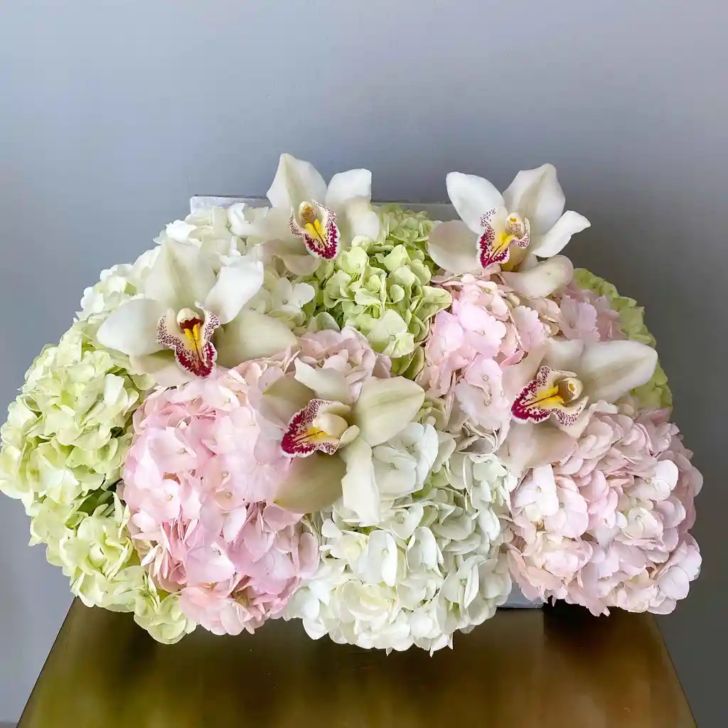 Baul M Hortensias Y Orquideas