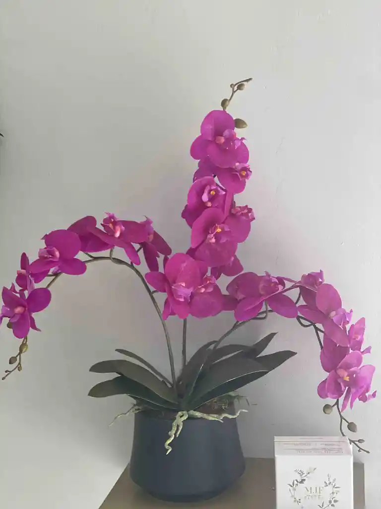 Bowl Negro Con Orquideas Magenta