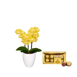 Regalo Orquidea Mini + Chcolates Ferrero