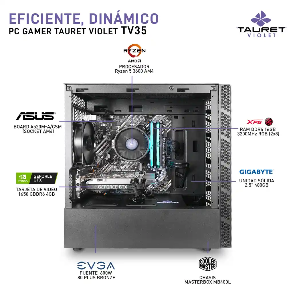 Amd Pc Gamer Violet Tv35Ryzen 5 3600 Gtx 1650 4Gb Ram 16Gb Ssd 480Gb