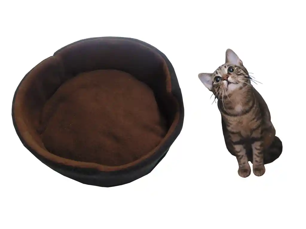 Cama Para Gato Grande D 47cm X A 19cm Marron