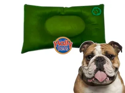 Colchón Premium Grande Huella Bordada Para Mascota Verde Claro