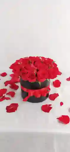 Cilindro De Rosas Rojas
