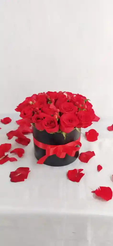 Cilindro De Rosas Rojas