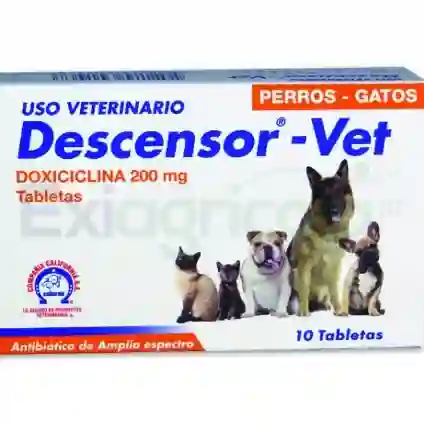 Descensor 200mg X10 Tab