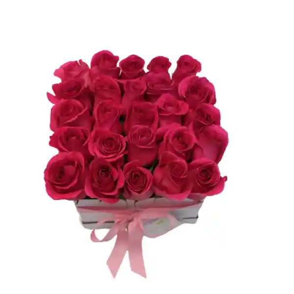 Flores Y Rosas : 25 Rosas Fucsia En Caja