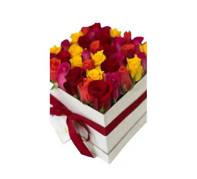 Flores Y Rosas : 25 Rosas Surtidas En Caja