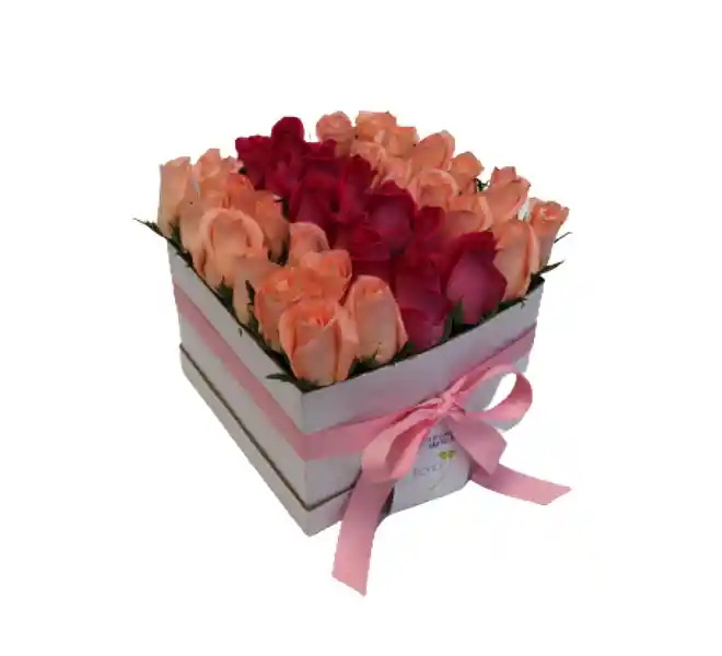 Flores Y Rosas : 30 Rosas Fucsias Y Rosadas En Caja