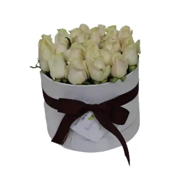 Flores Y Rosas : Sombrerera 20 Rosas Blanca
