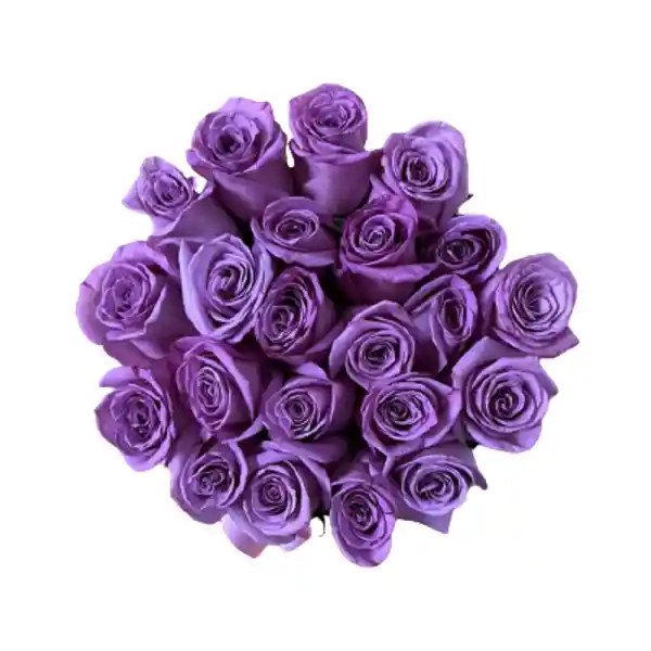 Flores Y Rosas: Sombrerera 20 Rosas Moradas