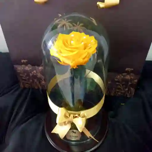 Rosa Preservada Amarilla En Bolsa De Regalo