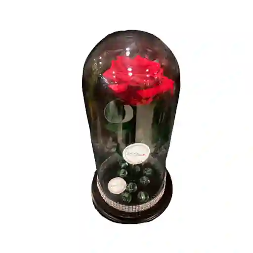 Rosa Eterna Roja