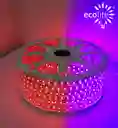 Cinta Rgb Bomibllo Grande 50 X50