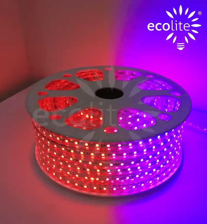 Cinta Rgb Bomibllo Grande 50 X50