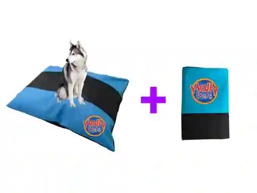 Cama Colchón Bicolor Lavable Gigante + Funda Repuesto Celeste