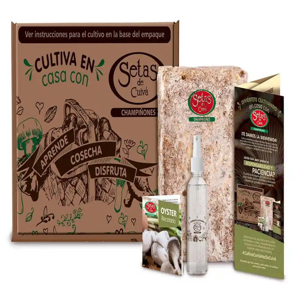 Kit de Cultivo Oyster