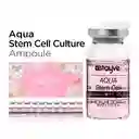 Bb Glow Stayve Aqua Stem Cell Culture Ampoule 1 Vial 8 Ml