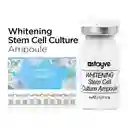 Bb Glow Stayve Whitening Stem Cell Culture 1 Vial 8 Ml