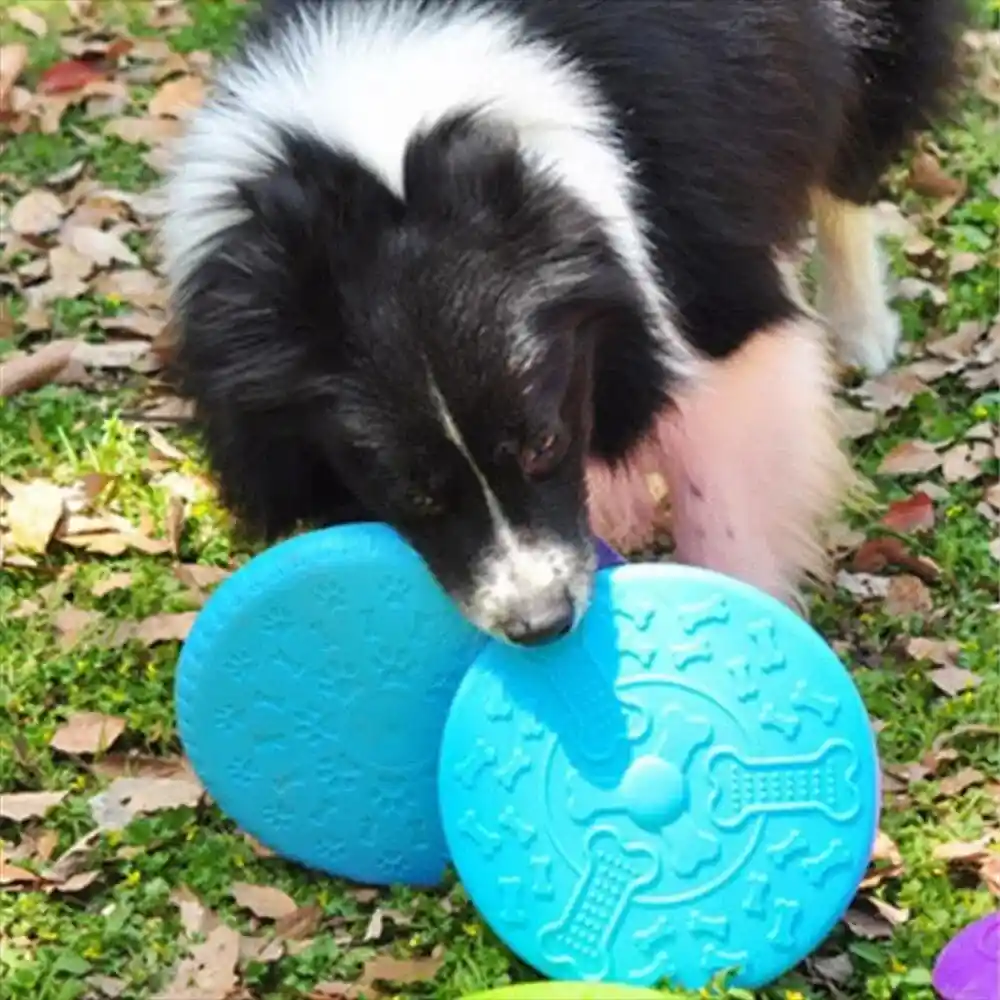 Frisbee Juguete Perro Goma Flexible Y Resistente