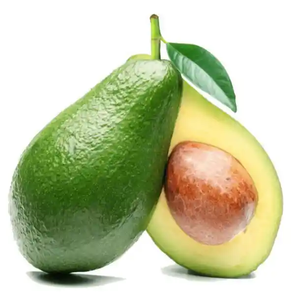 Aguacate Papelillo