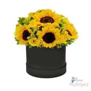 Caja Girasoles Delux