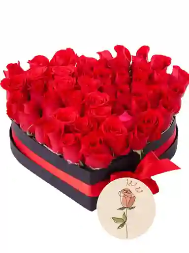 Rosas Rojas 50