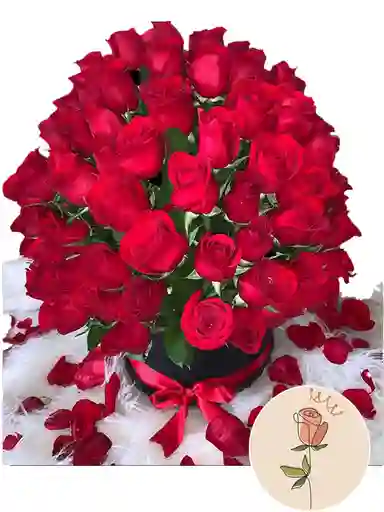 Rosas Rojas Tc
