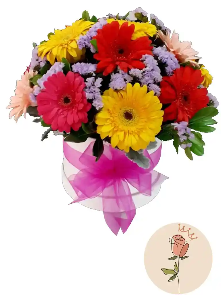 Gerberas Con Amor