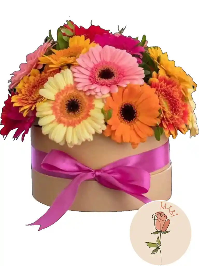 Gerberas Encanto