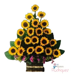 Girasoles Para Regalar