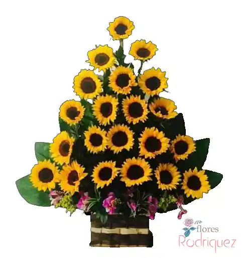 Girasoles Para Regalar