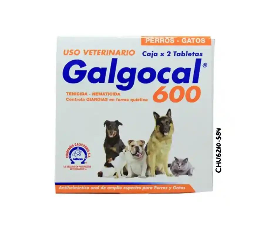 Galgocal 600 Para Perros Y Gatos