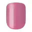 Impress Color – Petal Ea