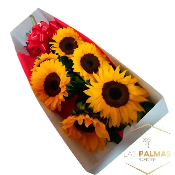 Caja X 6 Girasoles Para Regalar