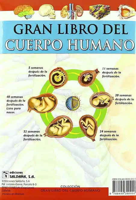 Libro Para Niños Educativo Del Cuerpo Humano