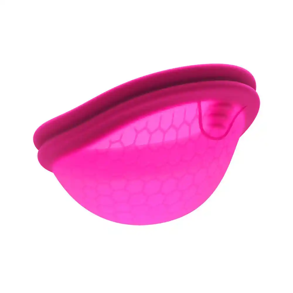 Disco / Copa Menstrual Ziggy Cup 2 Intimina Talla B