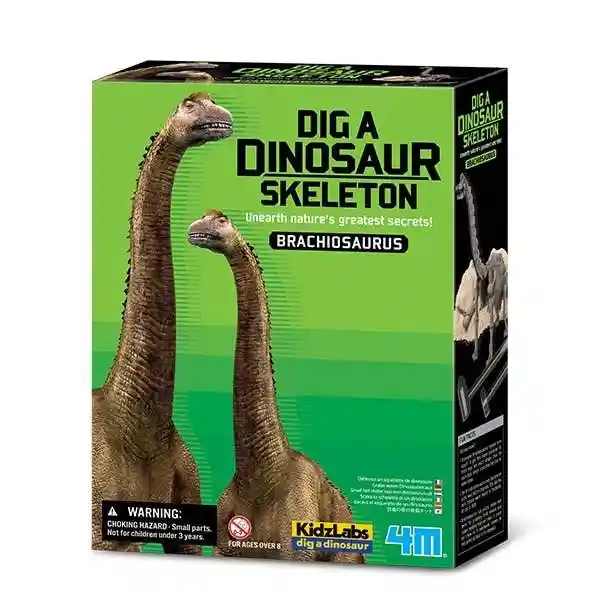 Dinosaurio Juego De Arqueología Para Niños Experimento