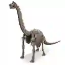 Dinosaurio Juego De Arqueología Para Niños Experimento