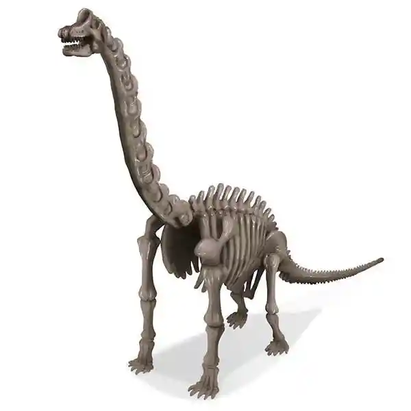 Dinosaurio Juego De Arqueología Para Niños Experimento