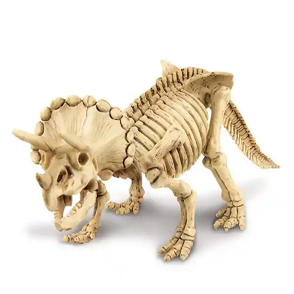 Dinosaurio Juego Didáctico Arqueología Triceratops Niños