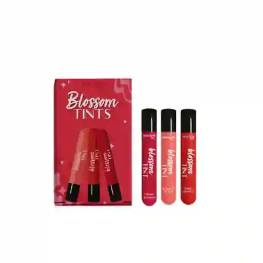 Blossom Beauty Kit Tintas Trio Blossom Beauty