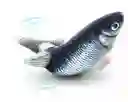 Juguete Pescado Con Movimiento