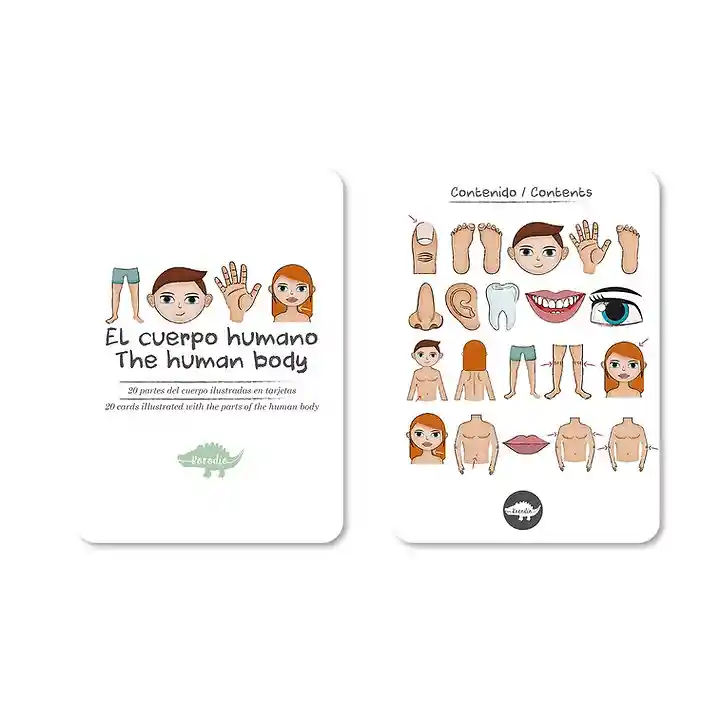 Kocodio Flash Cards Cuerpo Humano Tarjetas Didácticas Niños